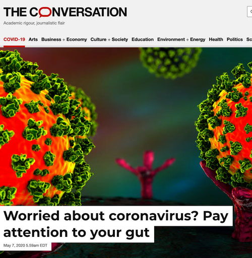 The Conversation Gut Microbiome and COVID