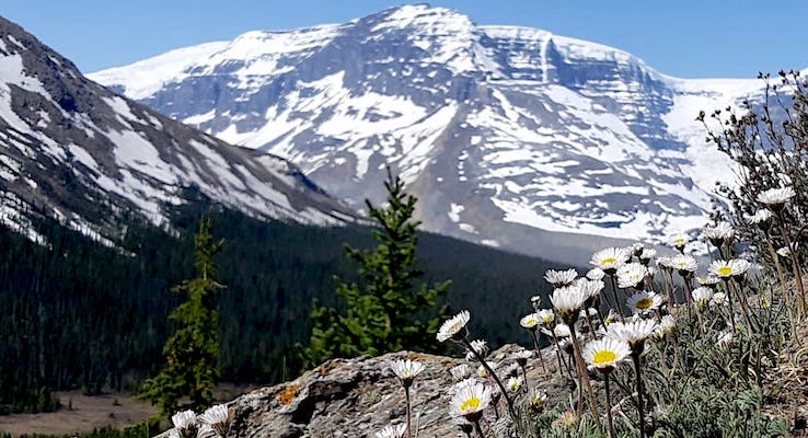 IMG-20190531-WA0009 copy