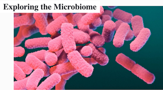 Exploring-the-Microbiome-cover-mediaplanet