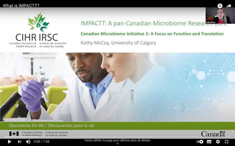 What-is-IMPACTT-cover